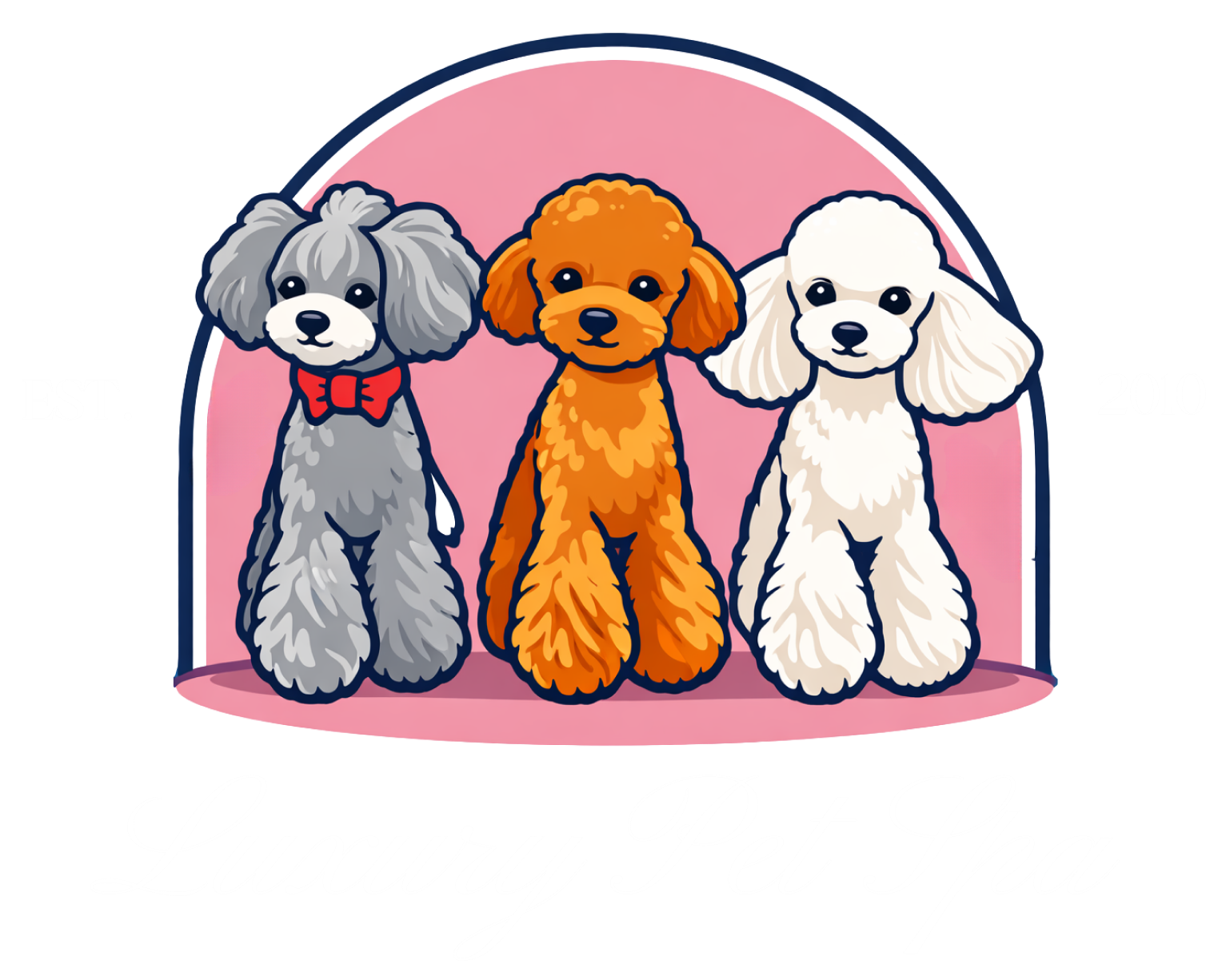 SMR Website Design Logo